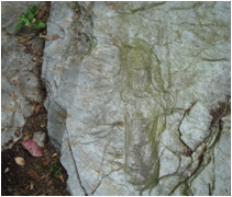 Petroglifos As Fdegas - Las pisadas del Encanto